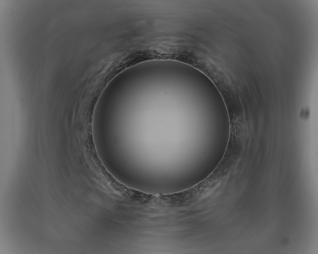 X0000093241009200709261704