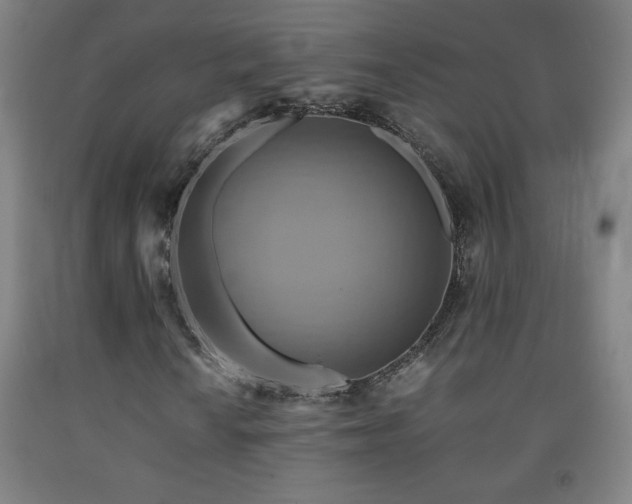 X0000093241010200709261704
