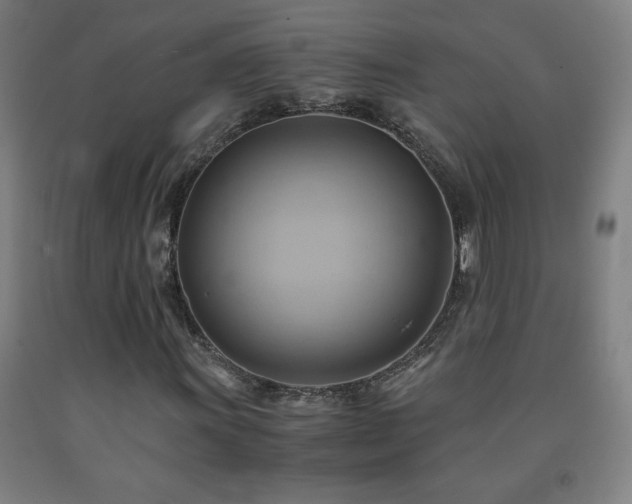 X0000093241011200709261704