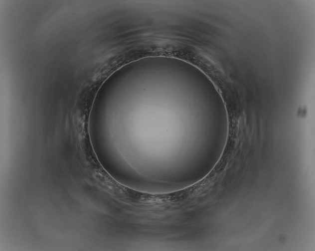 X0000093241013200709261704