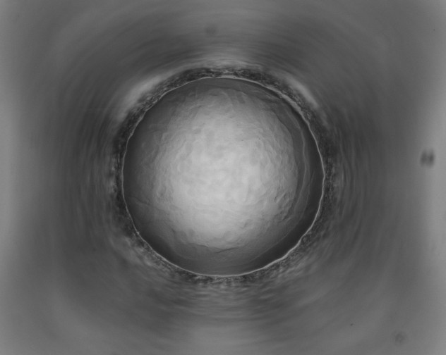 X0000093241016200709261704
