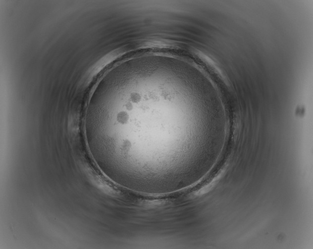 X0000093241017200709261704