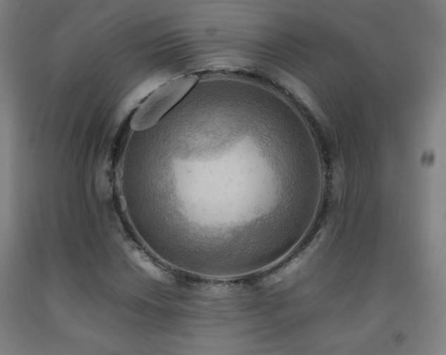 X0000093241018200709261704