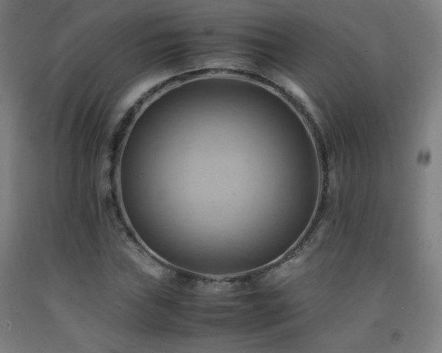 X0000093241019200709261704