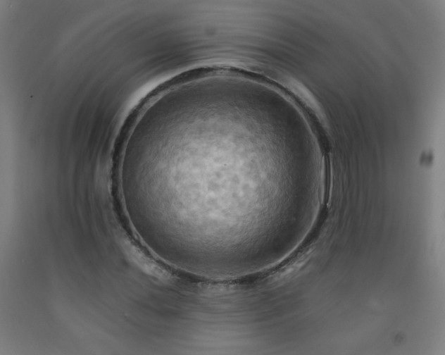 X0000093241020200709261704