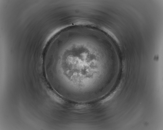 X0000093241021200709261704