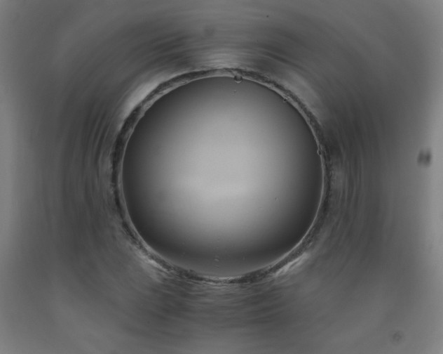 X0000093241023200709261704