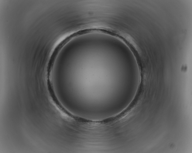 X0000093241024200709261704