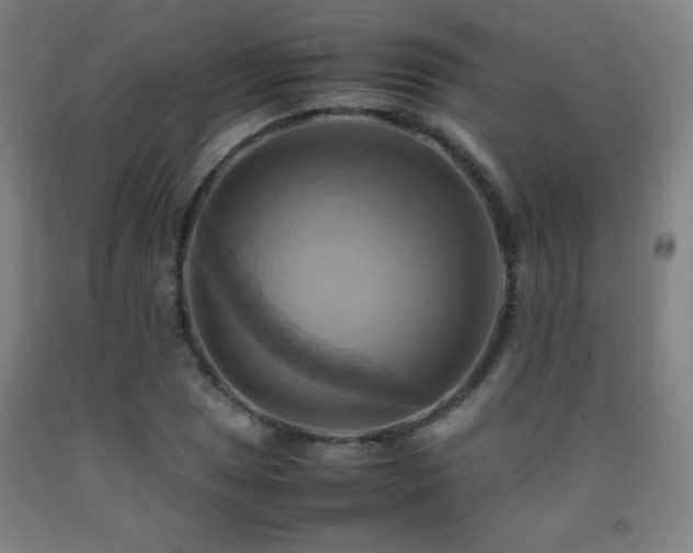X0000093241025200709261704