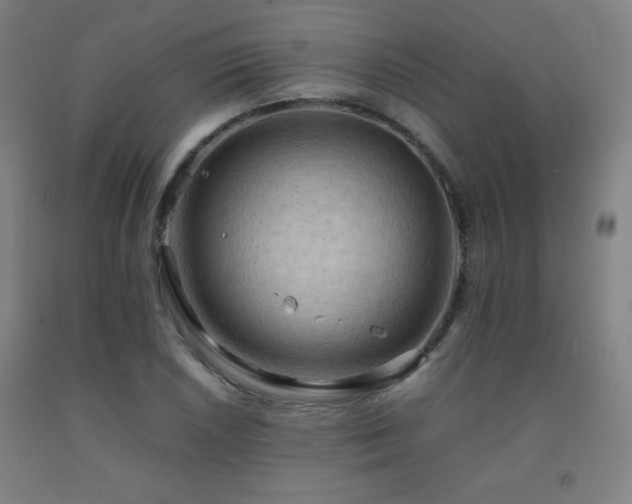 X0000093241026200709261704