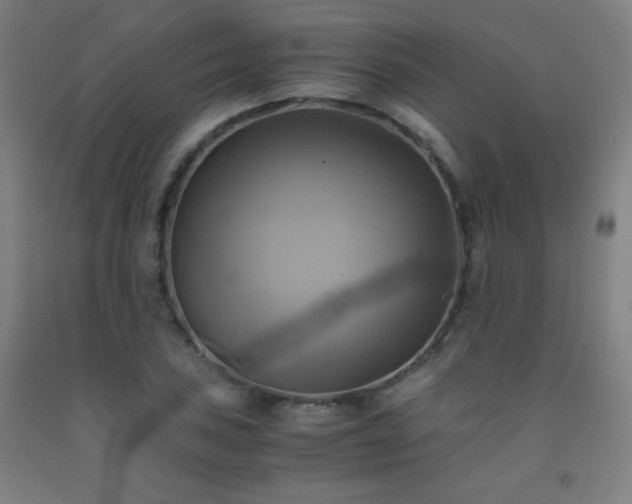 X0000093241027200709261704