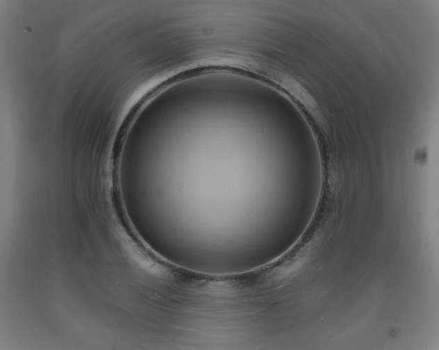 X0000093241028200709261704
