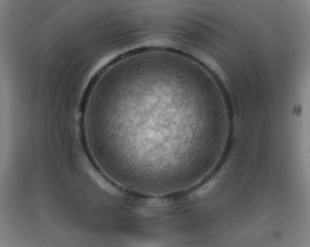 X0000093241029200709261704