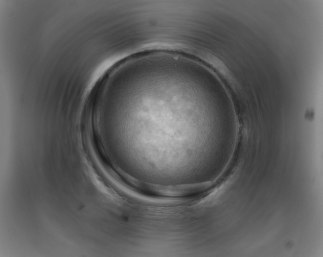 X0000093241030200709261704