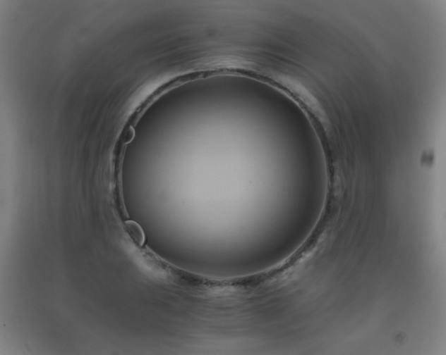X0000093241031200709261704