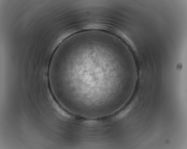 X0000093241033200709261704
