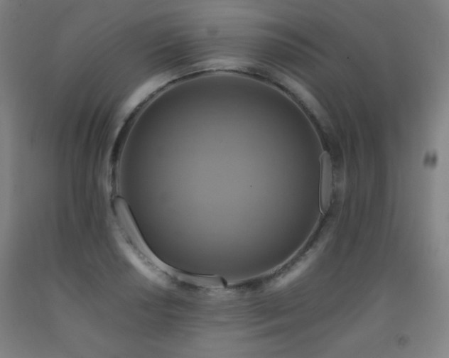 X0000093241034200709261704