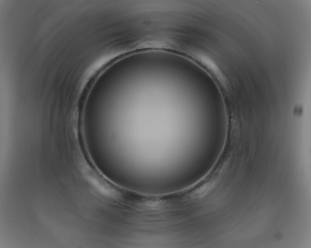 X0000093241035200709261704