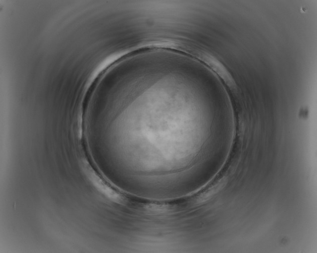 X0000093241036200709261704
