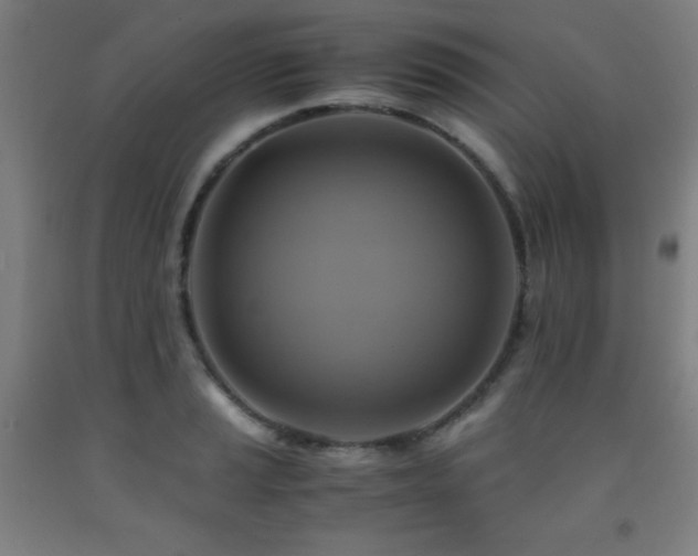 X0000093241037200709261704