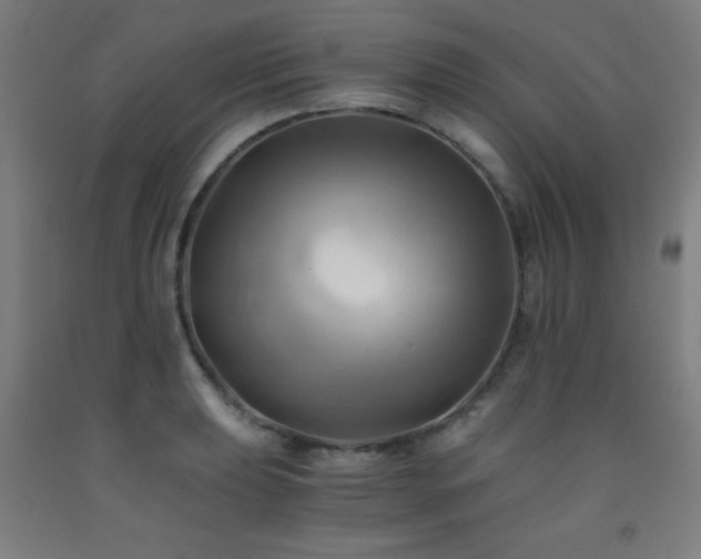 X0000093241039200709261704