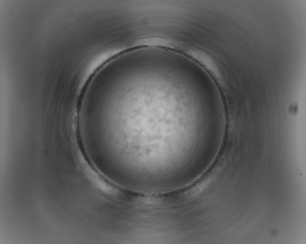 X0000093241040200709261704