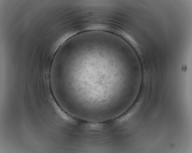 X0000093241041200709261704
