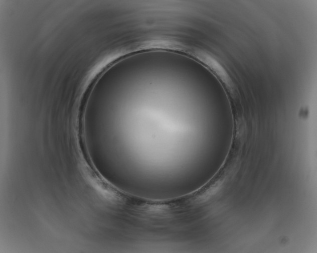 X0000093241043200709261704