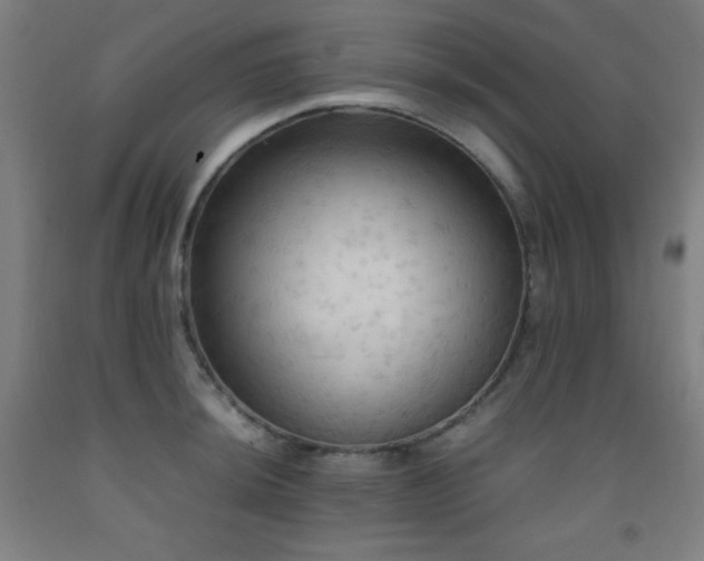 X0000093241044200709261704