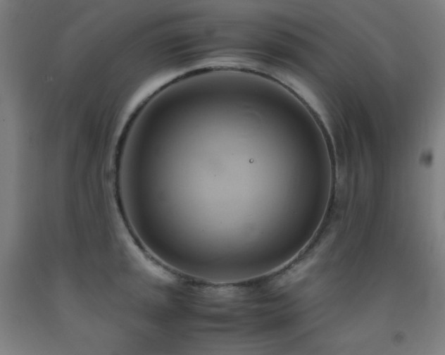 X0000093241045200709261704