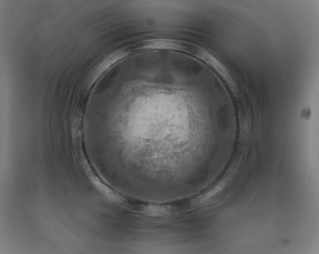 X0000093241049200709261705