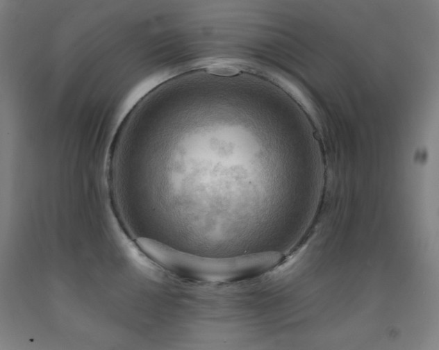 X0000093241050200709261705