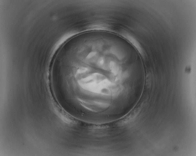 X0000093241051200709261705