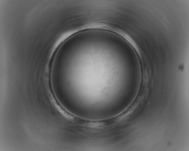 X0000093241053200709261705