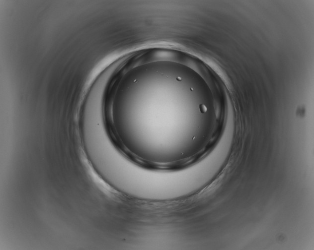X0000093241054200709261705