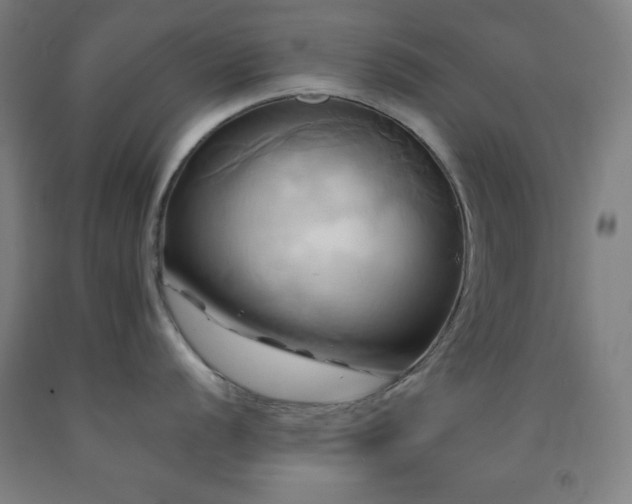 X0000093241056200709261705