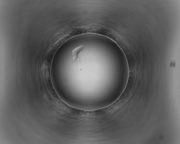 X0000093241058200709261704