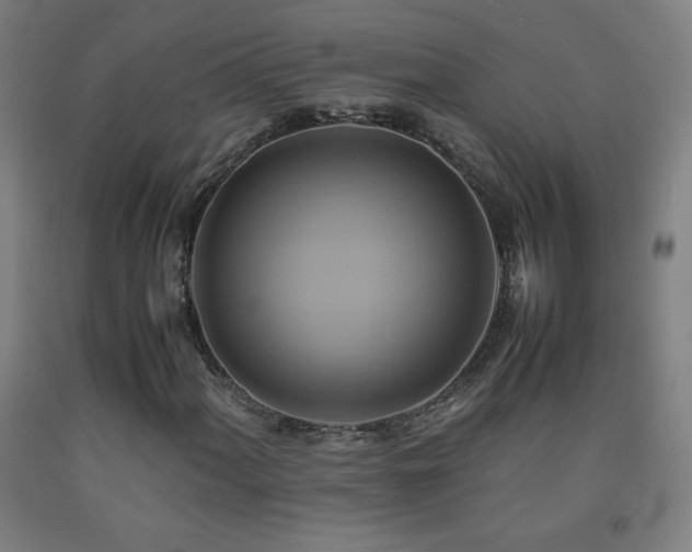 X0000093241060200709261704