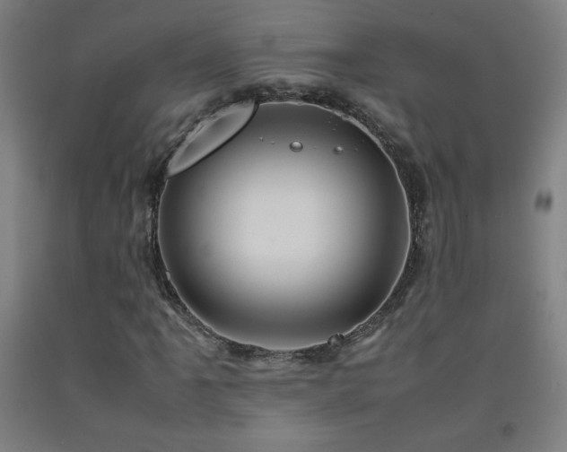 X0000093241061200709261704