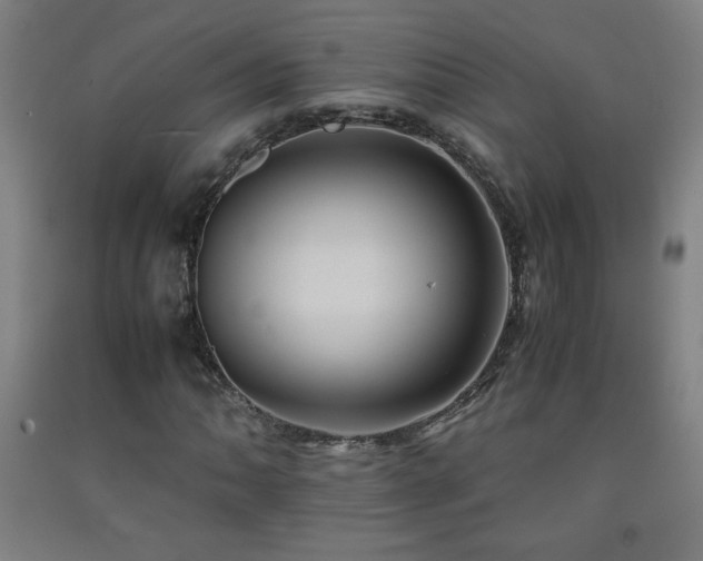X0000093241062200709261704