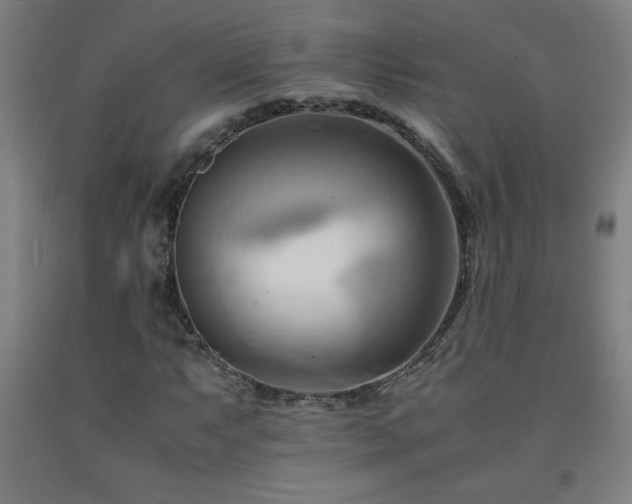 X0000093241063200709261704