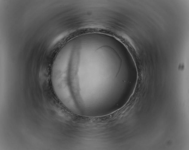 X0000093241064200709261704