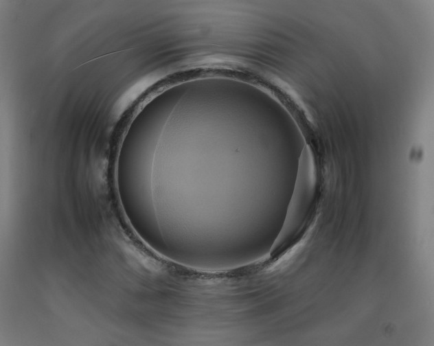 X0000093241066200709261704