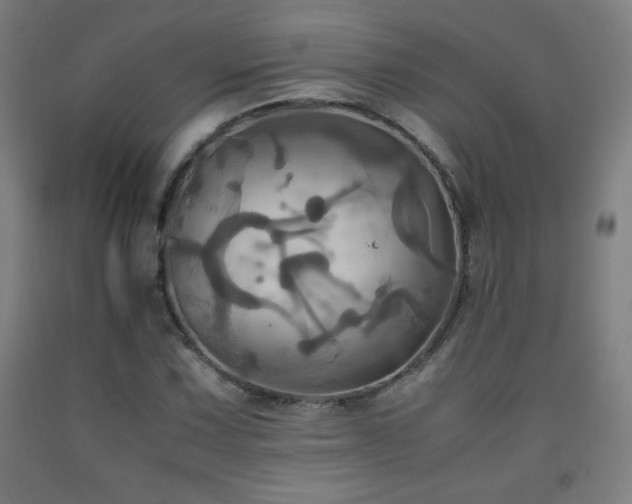 X0000093241067200709261704