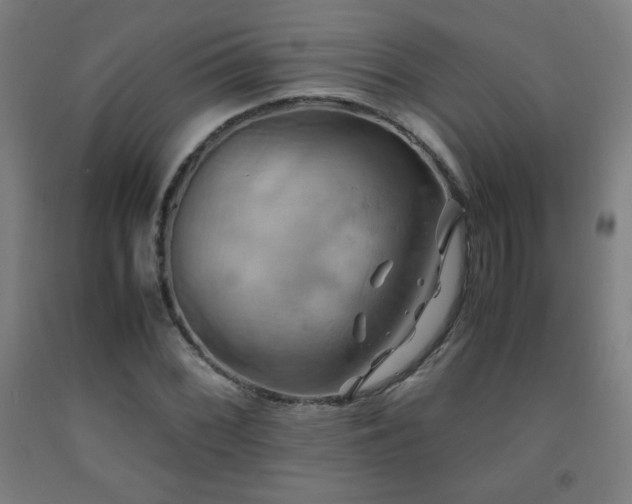 X0000093241068200709261704