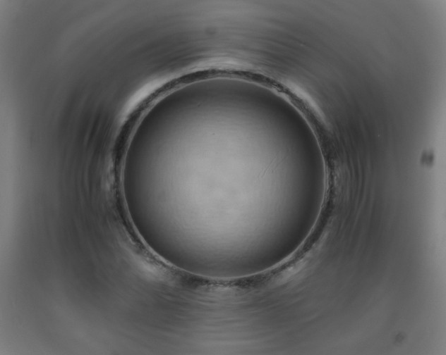 X0000093241070200709261704