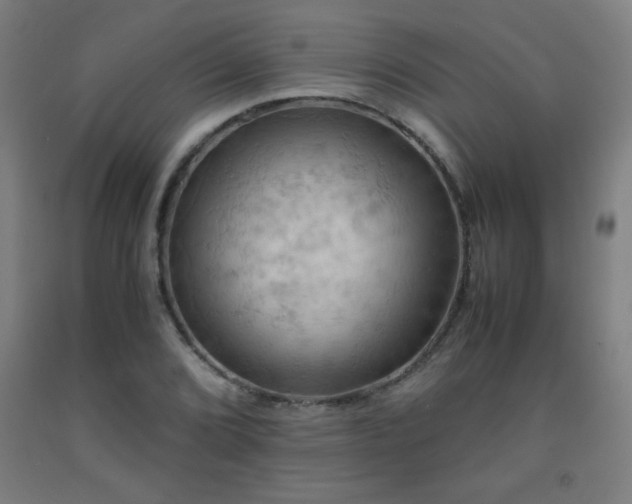 X0000093241072200709261704