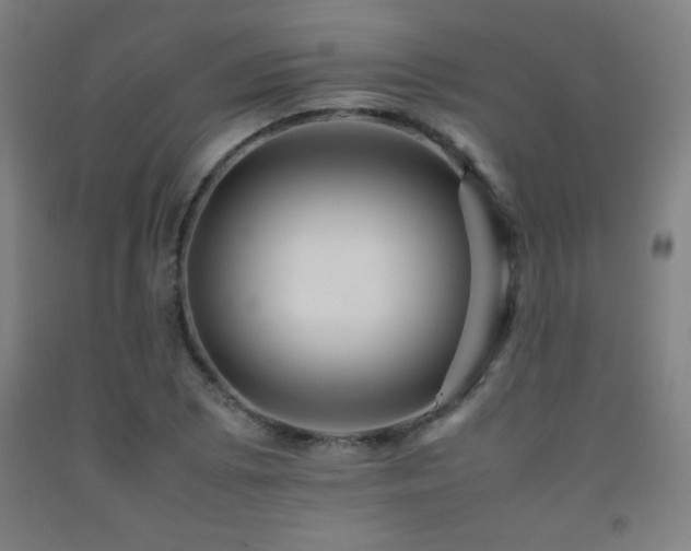 X0000093241073200709261704