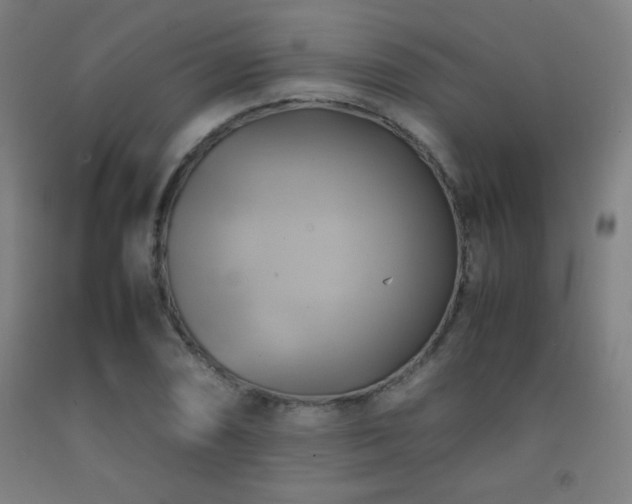 X0000093241074200709261704