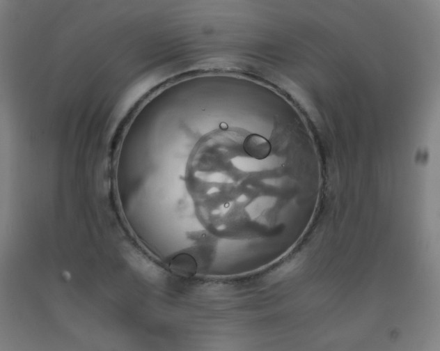 X0000093241075200709261704